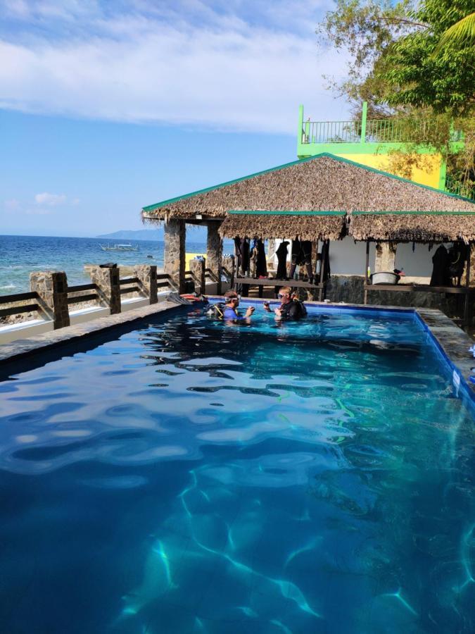 Blue Ribbon Dive Resort Mabini  Exteriör bild
